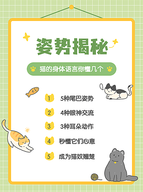 宠物知识科普手帐风下坡小红书套装小红书配图