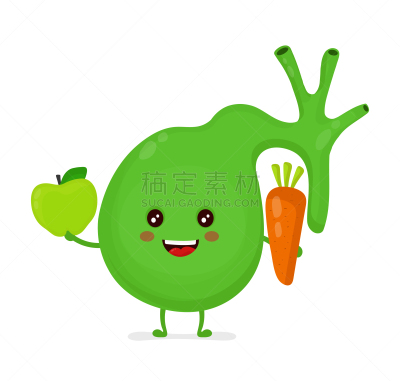 胆囊,健康保健,苹果,力量,幸福,分离着色,可爱的,白色,生物学,人