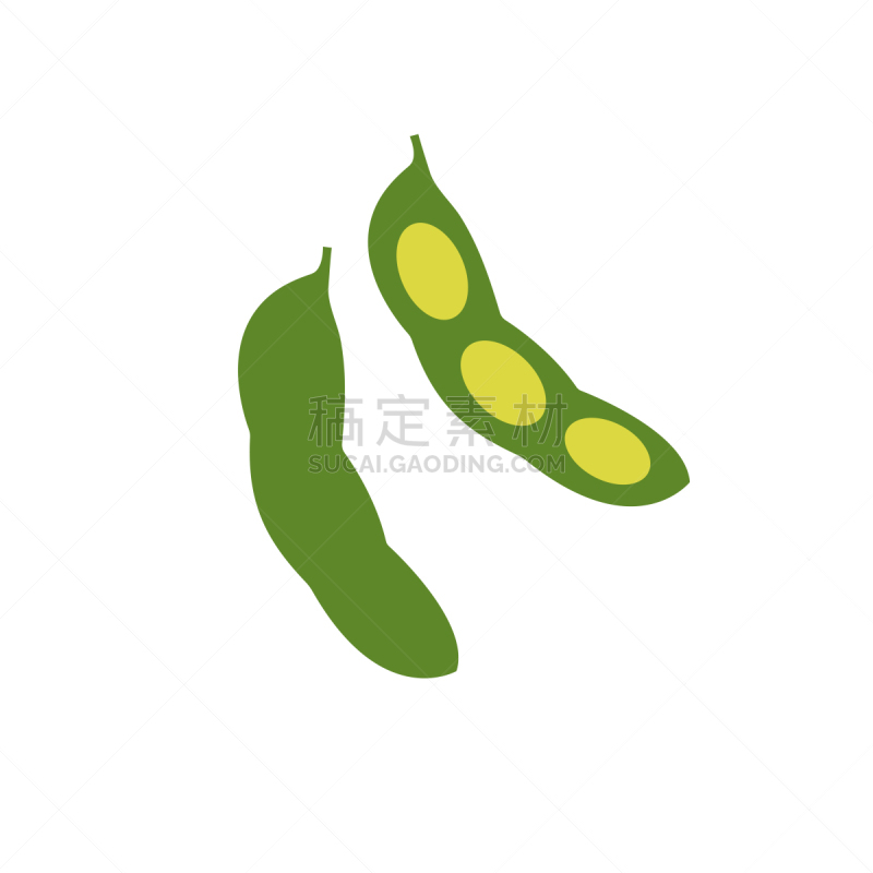 蔬菜,平坦的,矢量,绘画插图,色彩鲜艳,青豆,农业,自然,有机食品,食品