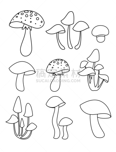 轮廓,计算机图标,矢量,绘画插图,蘑菇,分离着色,平坦的,白色背景,蔬菜,背景分离