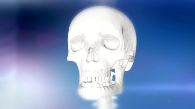   人类头骨显示鼻炎