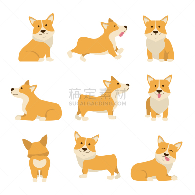 威尔士,威尔士柯基犬,卡通,可爱的,商务,纯种犬,狗,布置,坐,站