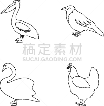 动物,鸟类,鹈鹕,乌鸦,分离着色,轮廓,自然,图像,天鹅,收集