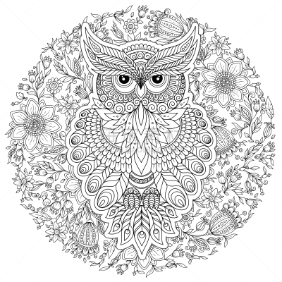 可爱的,书页,猫头鹰,花纹,边框,华丽的,纺织品,野生动物,翅膀,人种