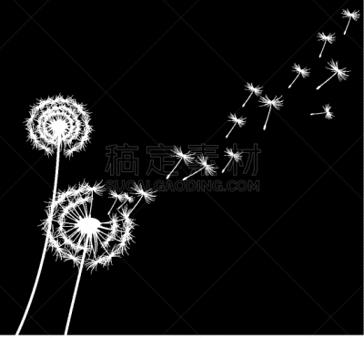 蒲公英,白色,自然,高雅,图像,孢子,矢量,吹,花,剪影