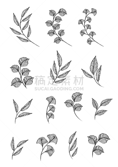 设计师,天气,可爱的,华丽的,假叶树属,环境,植物群,婚礼,收集,布置