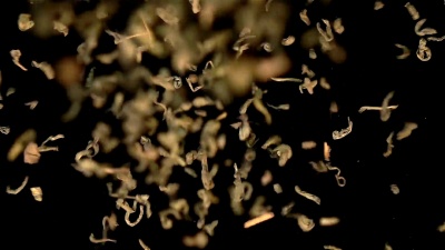 两个真正慢动作的绿茶坠落视频