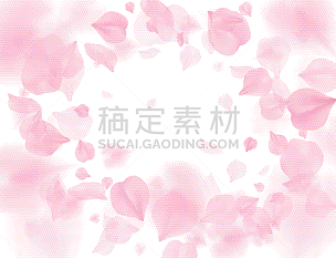 粉色,花瓣,樱之花,热情,清新,浪漫,壁纸,花,落下,爱