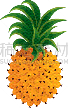菠萝,水果,热带气候,图标,鸡尾酒,有机食品,自然,精神振作,清新,图像