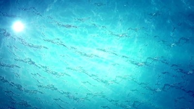 高质量的海浪动画从水下漂浮浮游生物。光线透过。大受欢迎的海洋背景高清，高清晰度 。