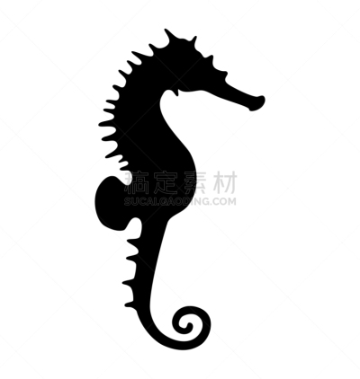 海马,黑色,分离着色,鸡尾酒,自然,卷着的,图像,海洋,动物,剪影