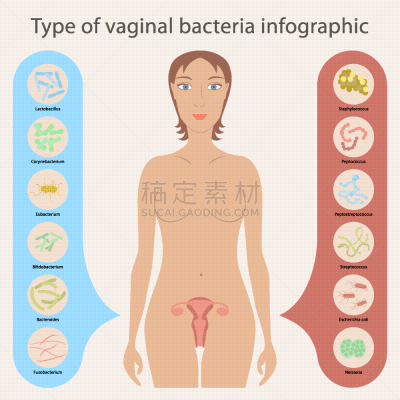 女人,植物群,贞德,人,女孩,肠内的,肠杆菌,美