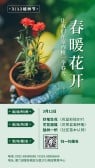 模板缩略图