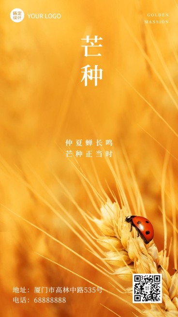 芒种节气稻穗昆虫实景手机海报预览效果