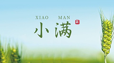 小满节气祝福问候实景横版海报