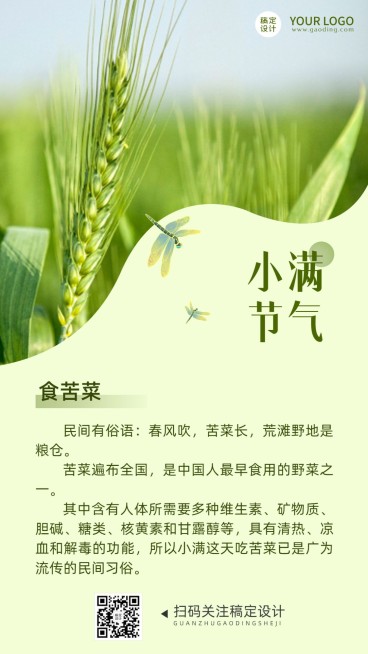 小满节气科普饮食习惯排版手机海报预览效果