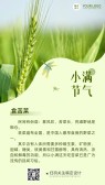 模板缩略图