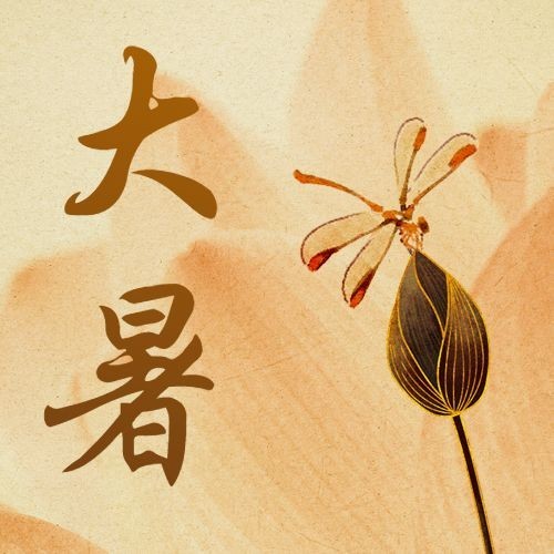 大暑节气祝福手绘中国风公众号次图预览效果