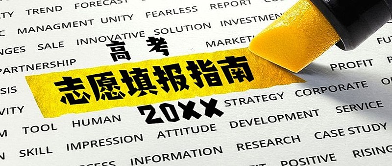 高考志愿填报简约清新公众号首图