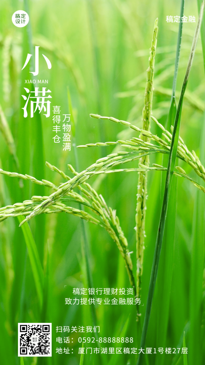 金融保险小满节气祝福创意插画海报