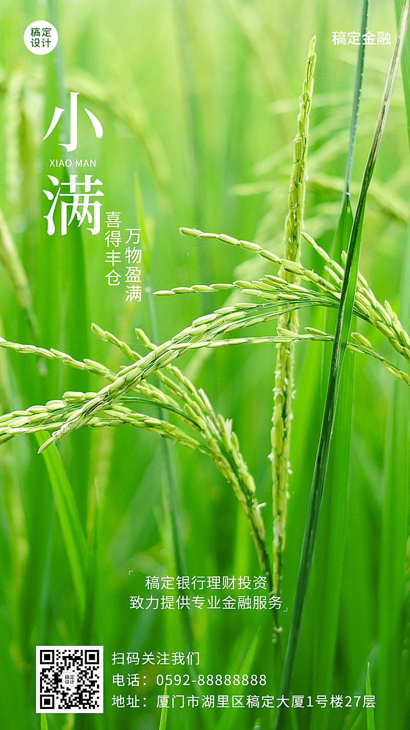 金融保险小满节气祝福创意插画海报