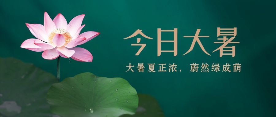 大暑节气莲花荷塘绿金公众号首图预览效果