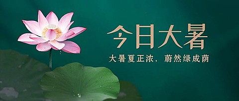 大暑节气莲花荷塘绿金公众号首图