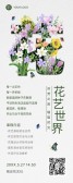 模板缩略图