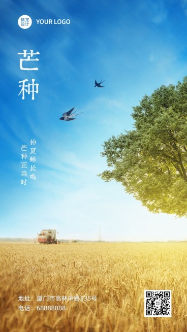 芒种节气祝福问候实景手机海报预览效果