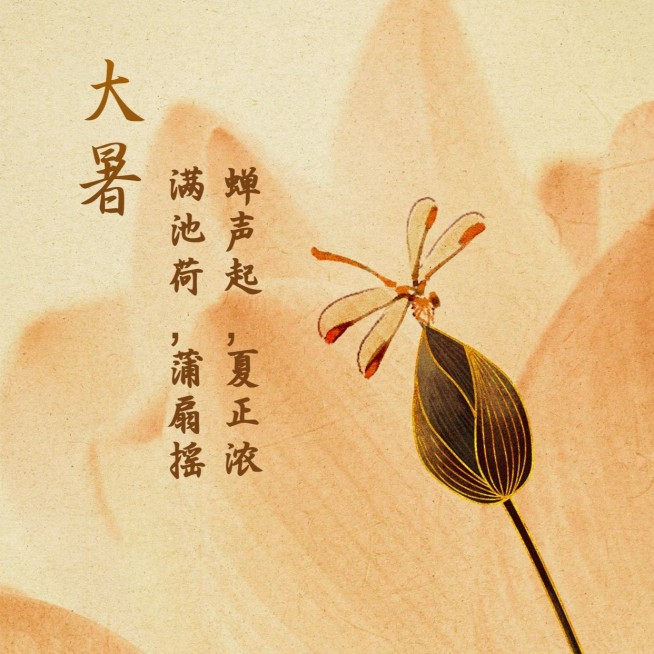 大暑节气祝福手绘中国风方形海报预览效果