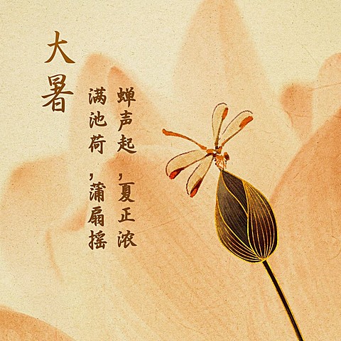 大暑节气祝福手绘中国风方形海报