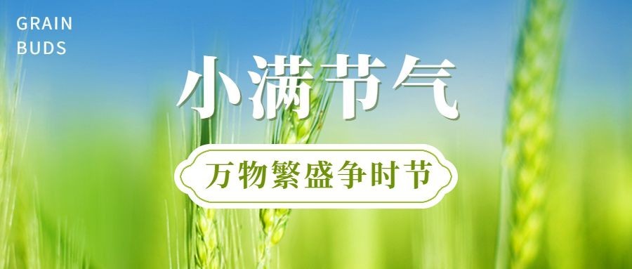 小满节气实景图公众号首图预览效果