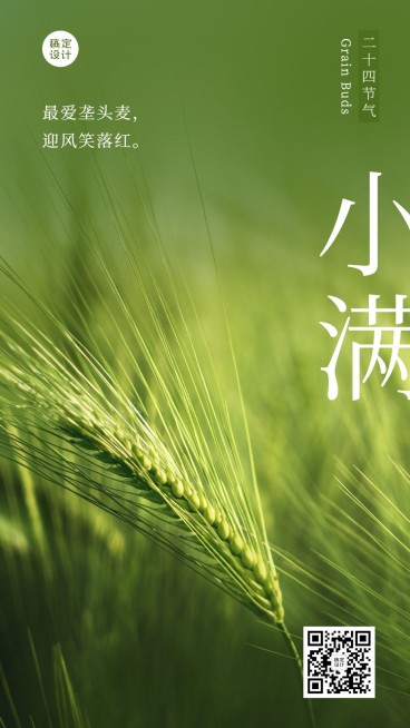 小满节气祝福实景排版手机海报预览效果
