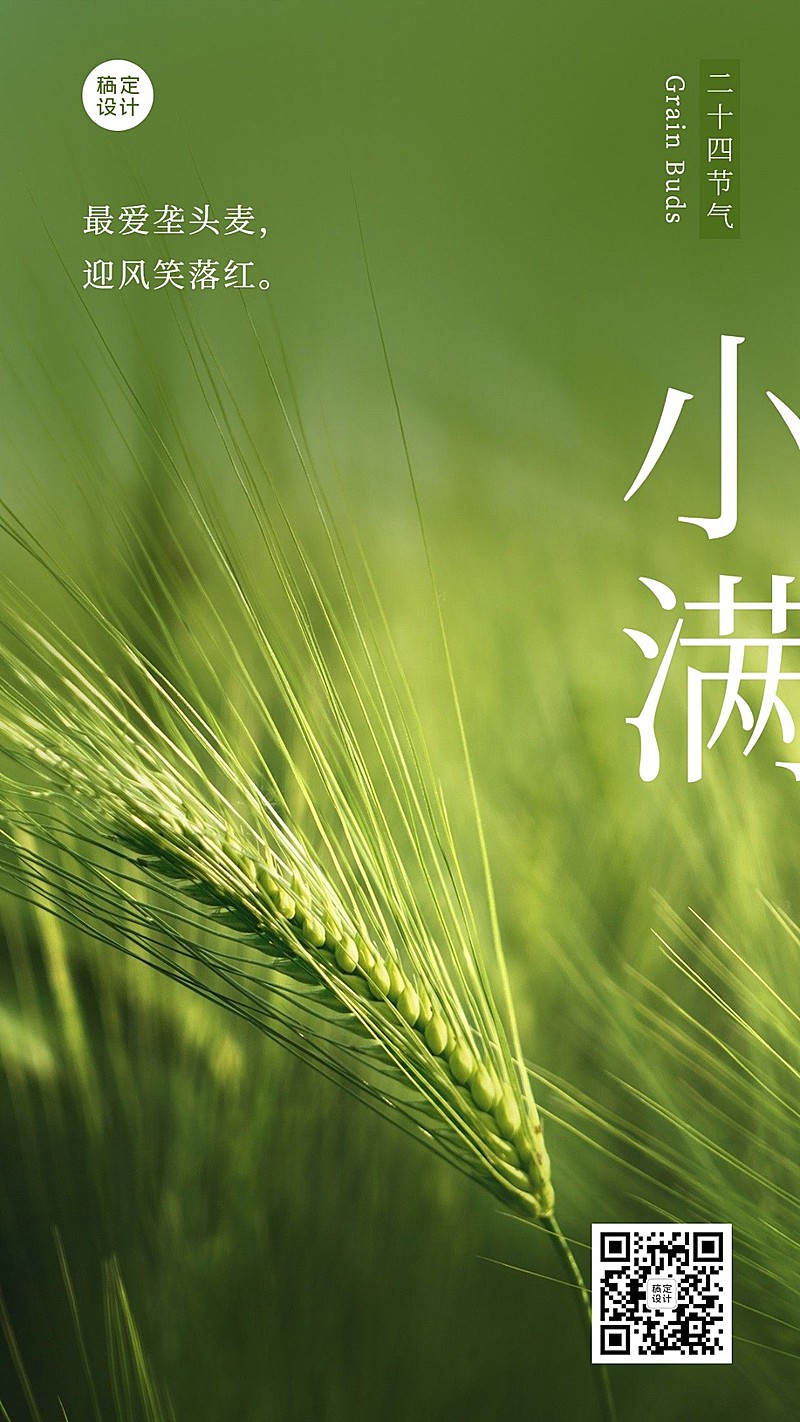 小满节气祝福实景排版手机海报