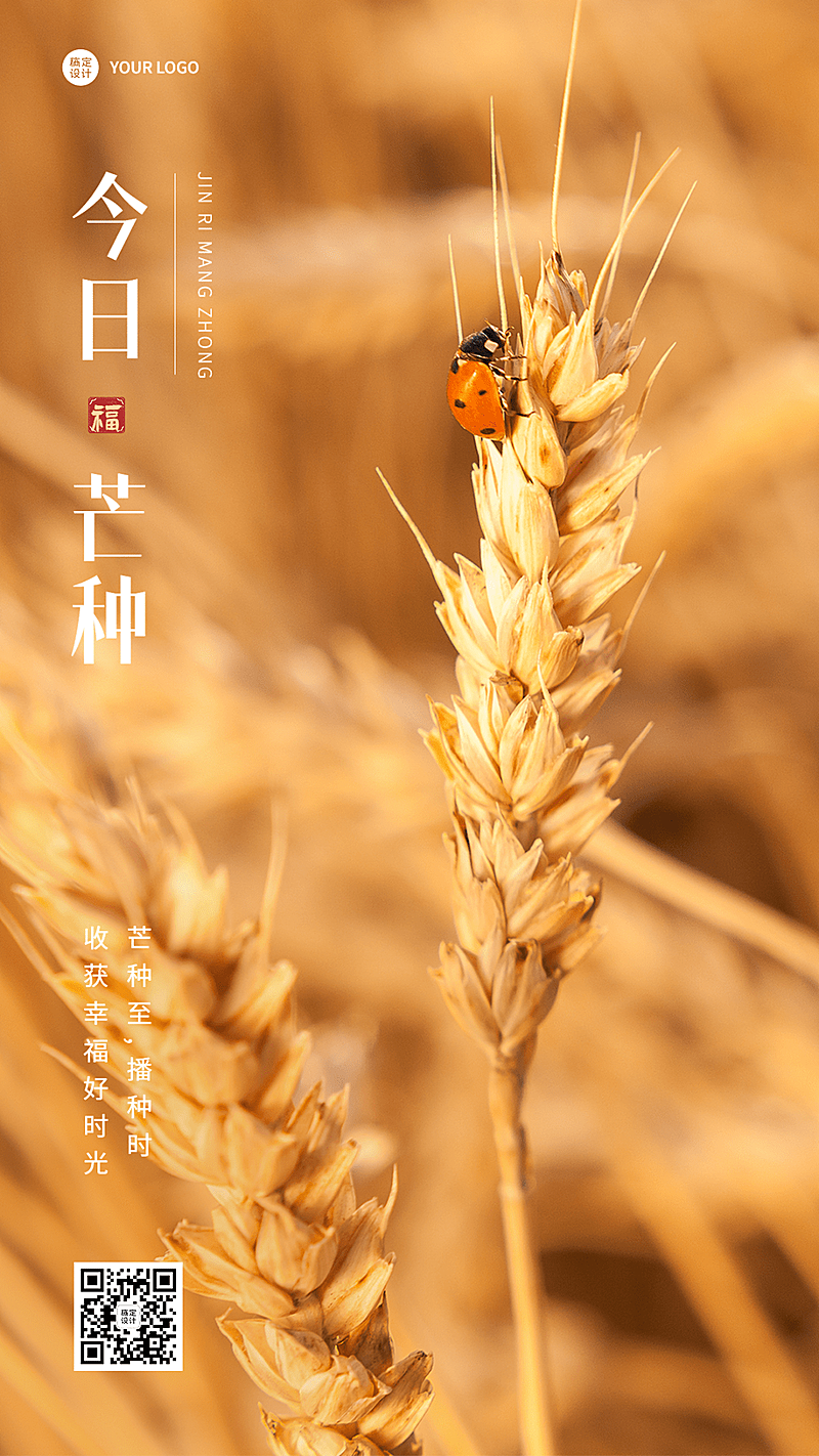 芒种节气祝福手机海报