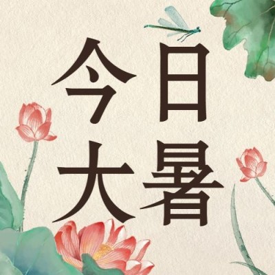 大暑节气中国风莲花水墨公众号次图