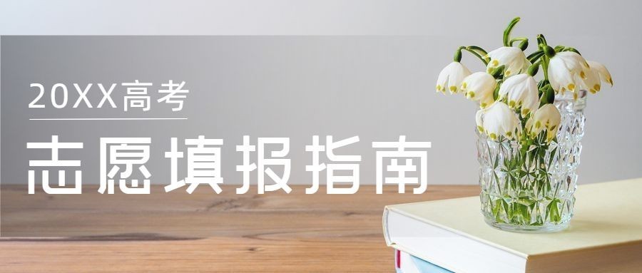 高考志愿填报指南首图预览效果