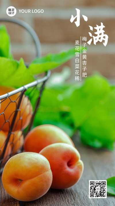 餐饮美食小满节气营销实景手机海报