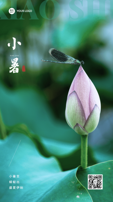 小暑节气祝福排版手机海报预览效果