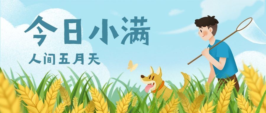 小满节气插画公众号首图预览效果