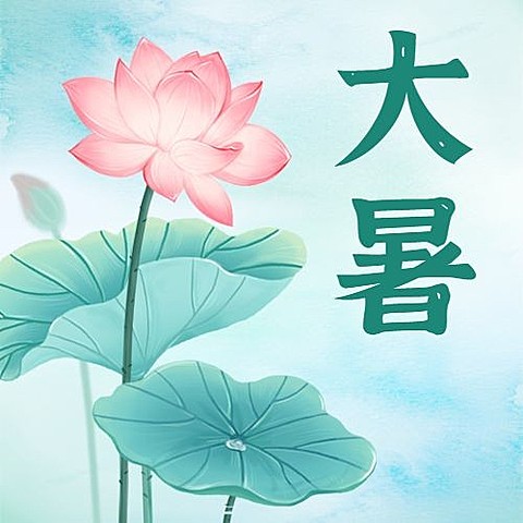 大暑节气莲花荷叶中国风公众号次图