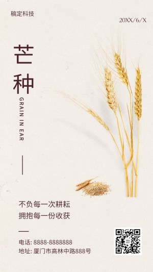芒种节气稻穗排版合成手机海报
