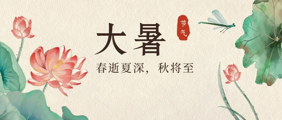 小暑节气中国风莲花水墨公众号首图预览效果