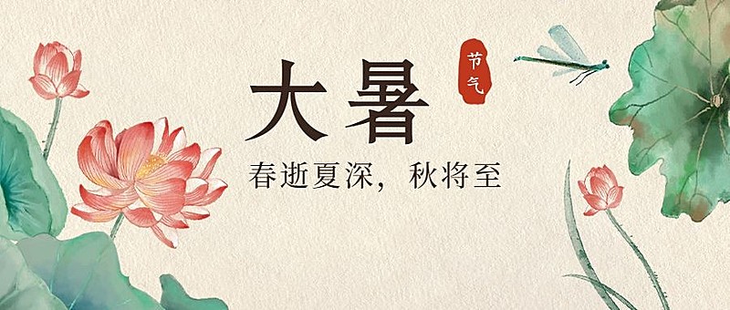 小暑节气中国风莲花水墨公众号首图