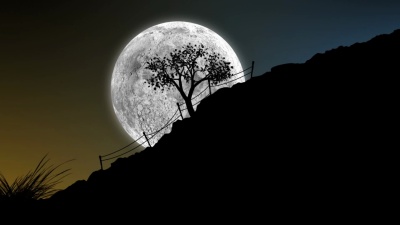 夜与彗星