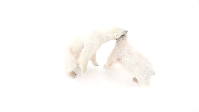 小熊