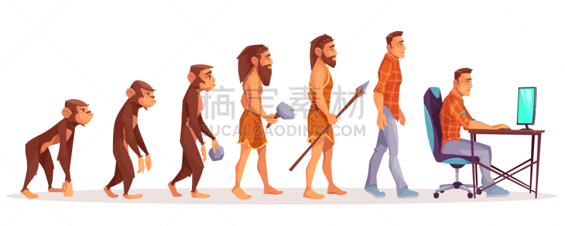 猿,男人,使用电脑,猴子,商务,计算机,姿态优美,人属,进化