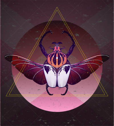 颅骨,Goliath Beetle,动物手,翅膀, 巨人歌利亚,耳鼓,白色,褐色,黑色,绘制