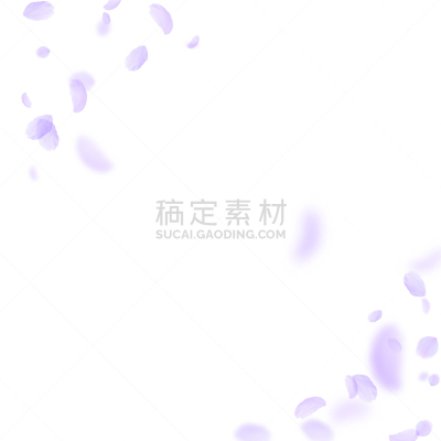 花瓣,罗马,紫色,春天,白色,粉色,浪漫,落下,庆祝,爱