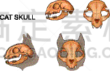 猫,颅骨,生理学,生物学,比赛小划艇,健康保健,压力,簇叶从生的,枕叶,震惊